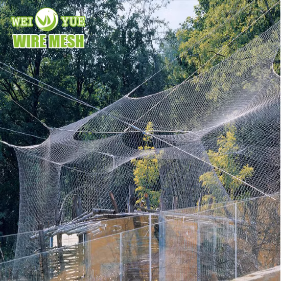 Personalización de muestras de aviarios de aves, recintos para animales, jaulas para animales, decoración de edificios de zoológicos